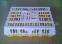 上海儀陟農產品經營部_世界工廠網全球企業庫