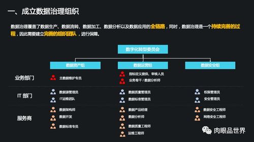 集團數據管控與數據治理解決方案 打造高效、可信的數據處理服務